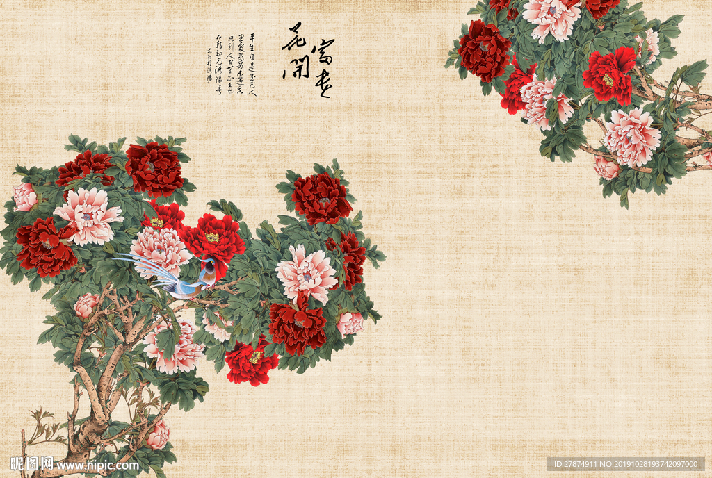 牡丹