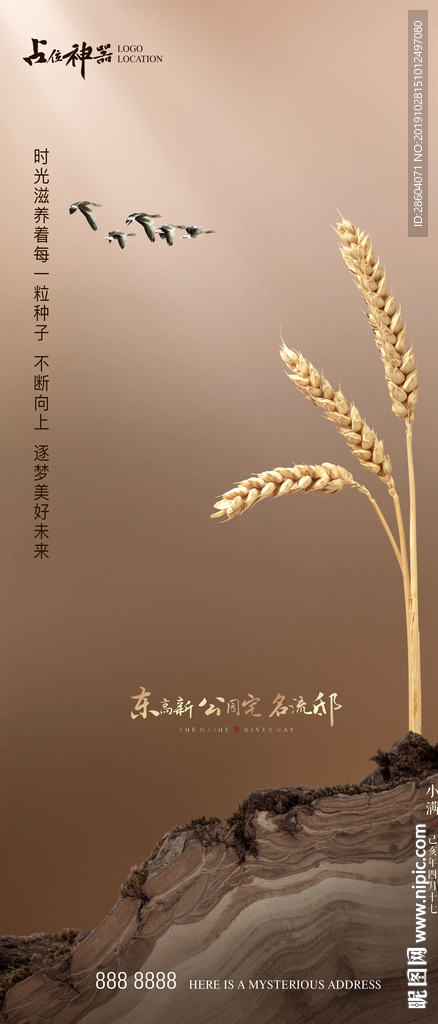 芒种