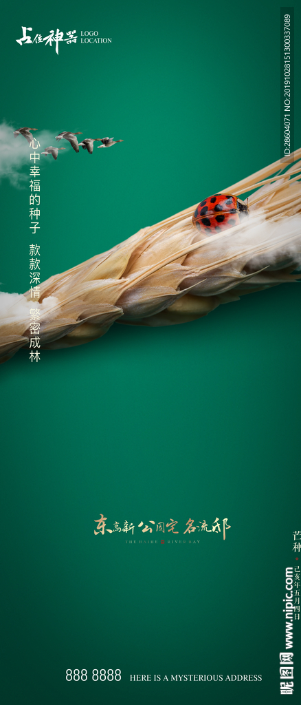 芒种