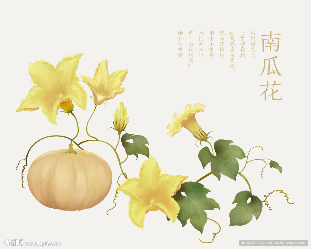 南瓜花