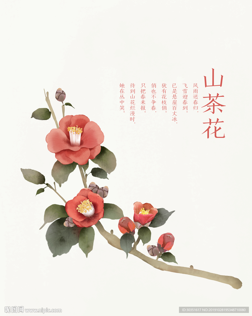 山茶花