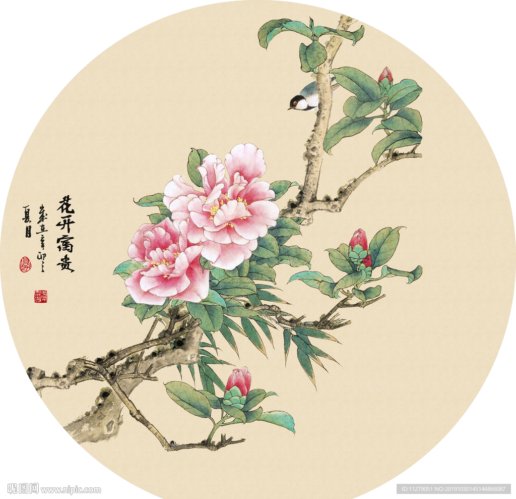 花开富贵工笔笔画