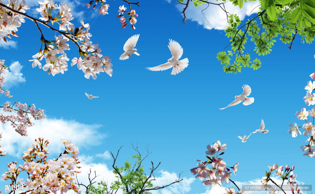 蓝天白鸽花朵吊顶背景