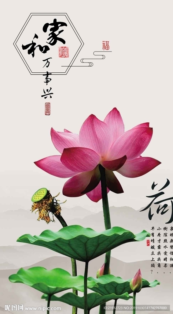 家和万事兴 荷花