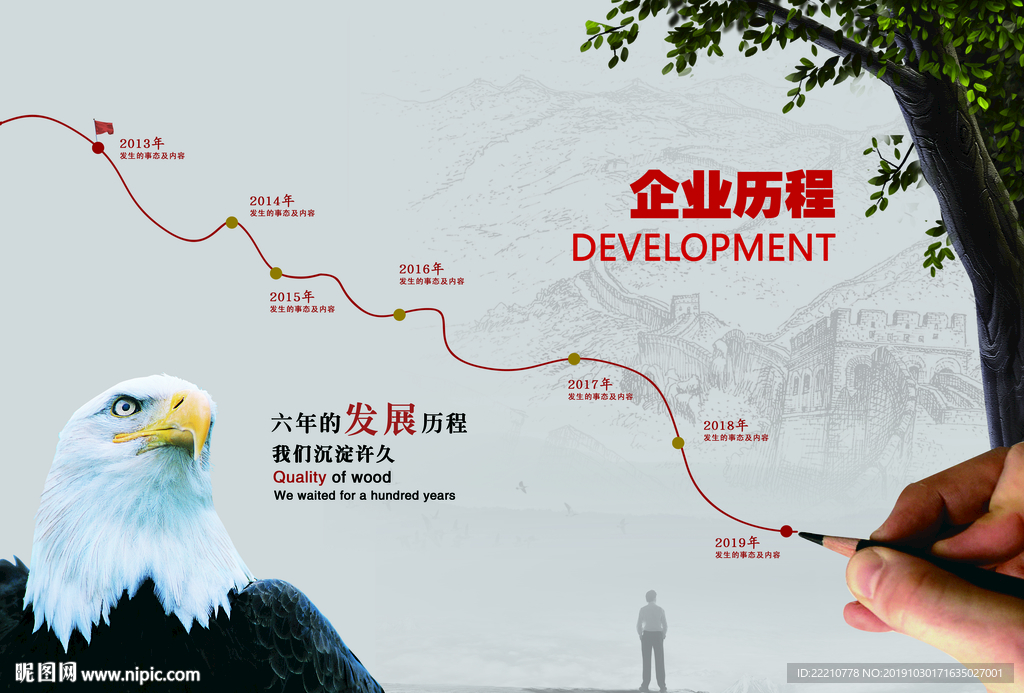 发展历程