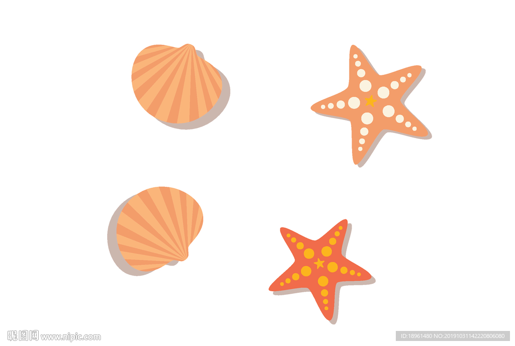 海星贝壳矢量图