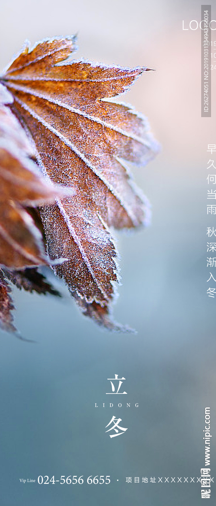 地产 节气 立冬