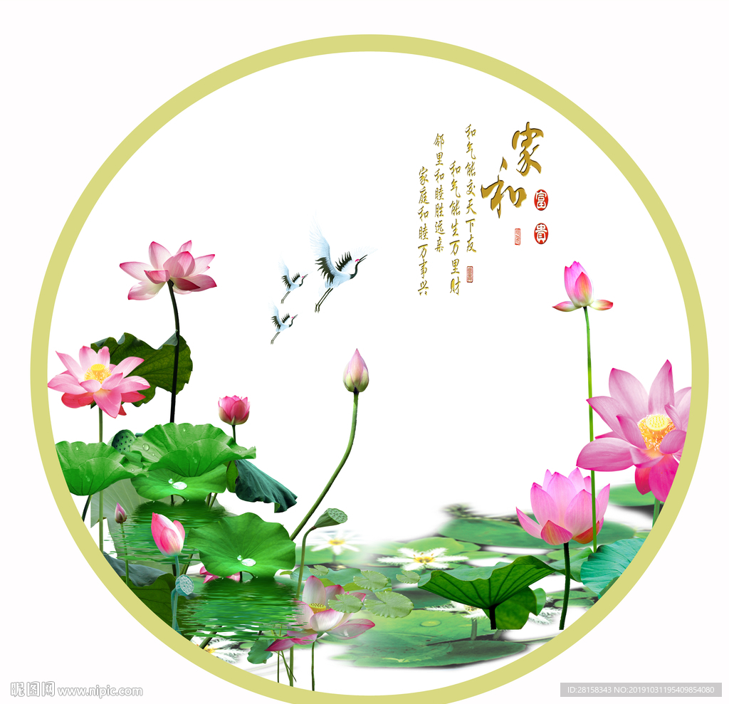 荷花