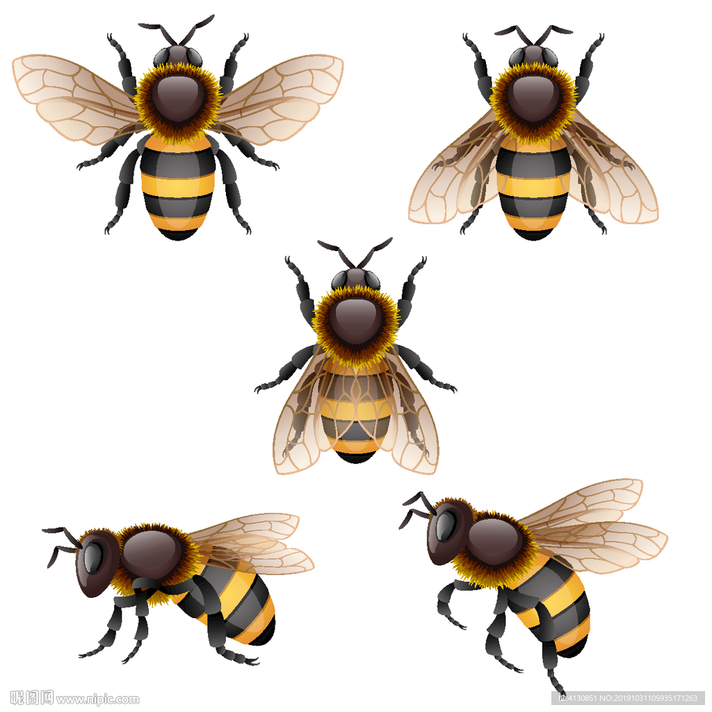 复古蜜蜂 数码印花 高清素材