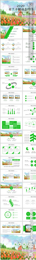 荷兰介绍动态PPT