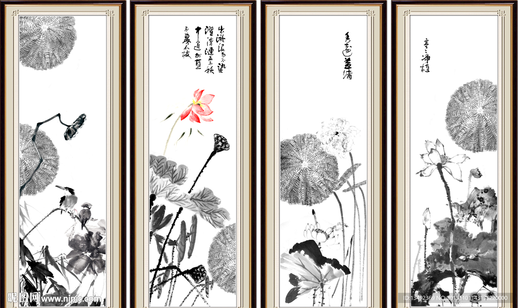 国画荷花