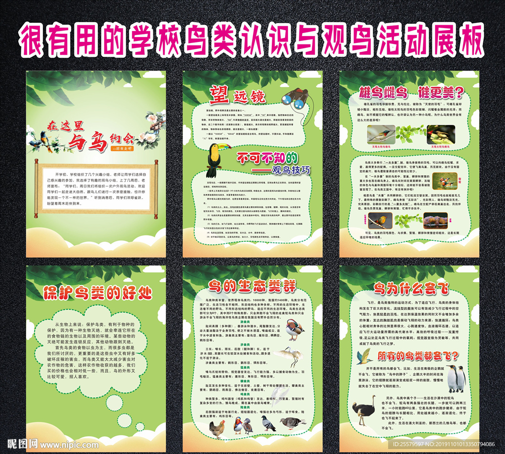 很有用的学校鸟类认识与观鸟活动