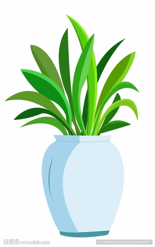 绿色植物