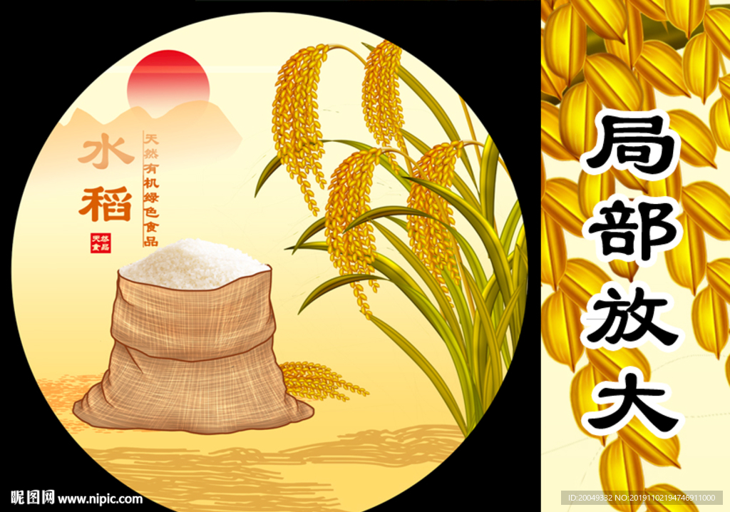 稻谷插画设计