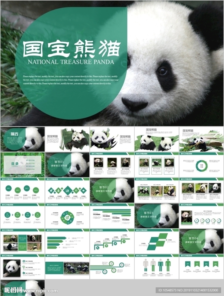 保护动物吃竹子国宝熊猫野生动物
