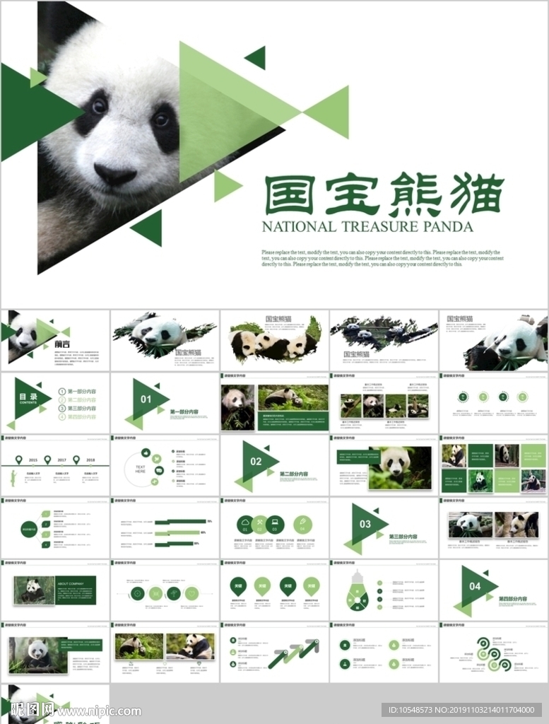 保护动物吃竹子国宝熊猫野生动物