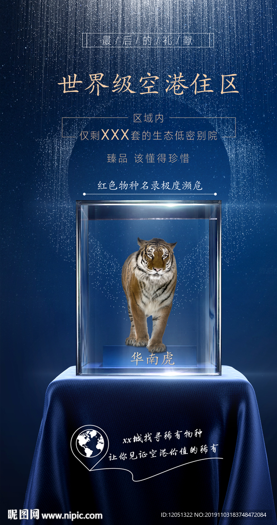 珍稀海报 珍稀动物 珍稀物种