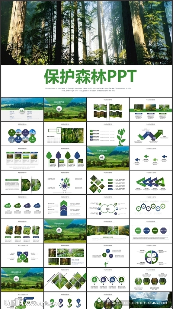 保护森林PPT