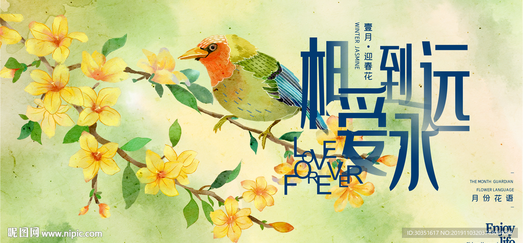 迎春花