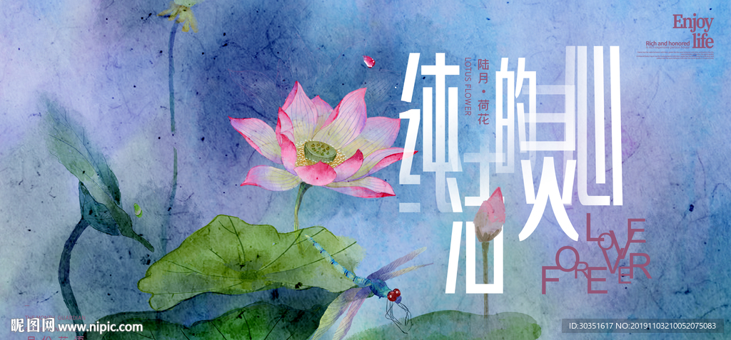 荷花