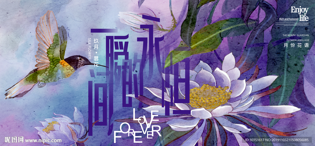 昙花