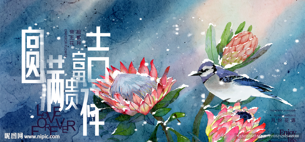 帝王花