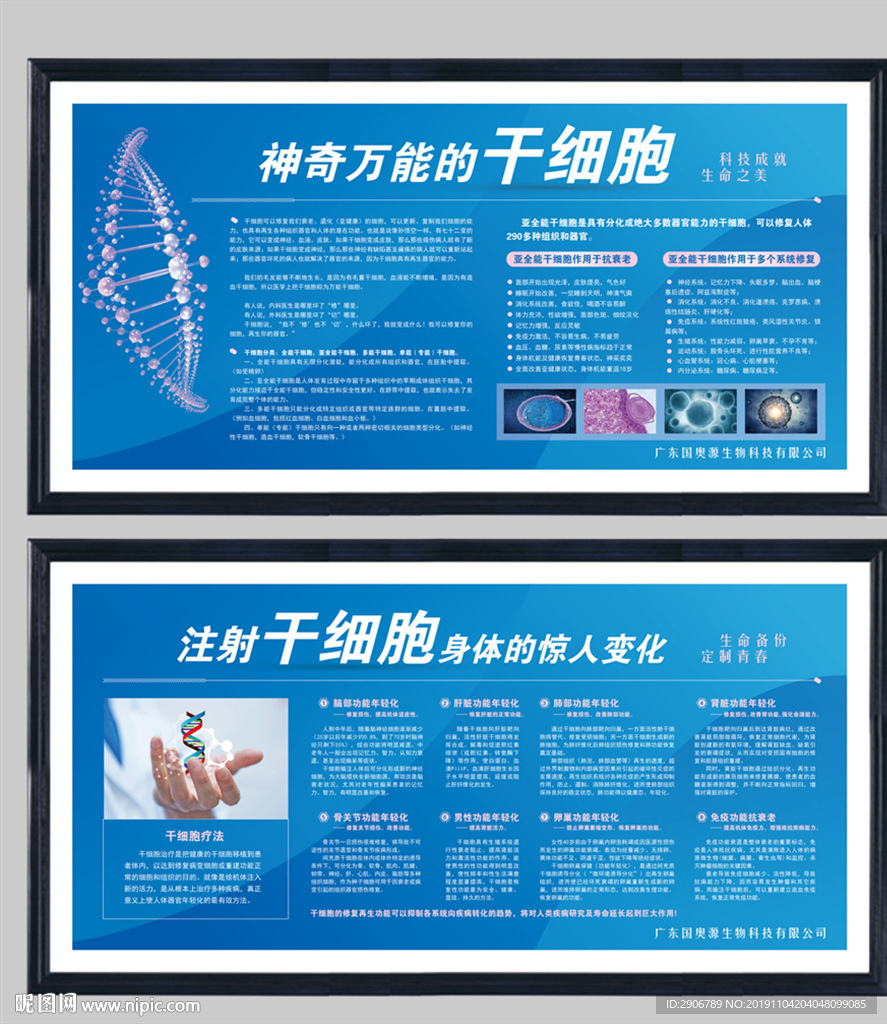 干细胞挂画