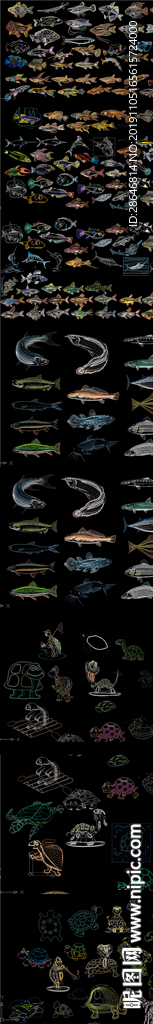 炫彩鱼 海洋生物CAD图库