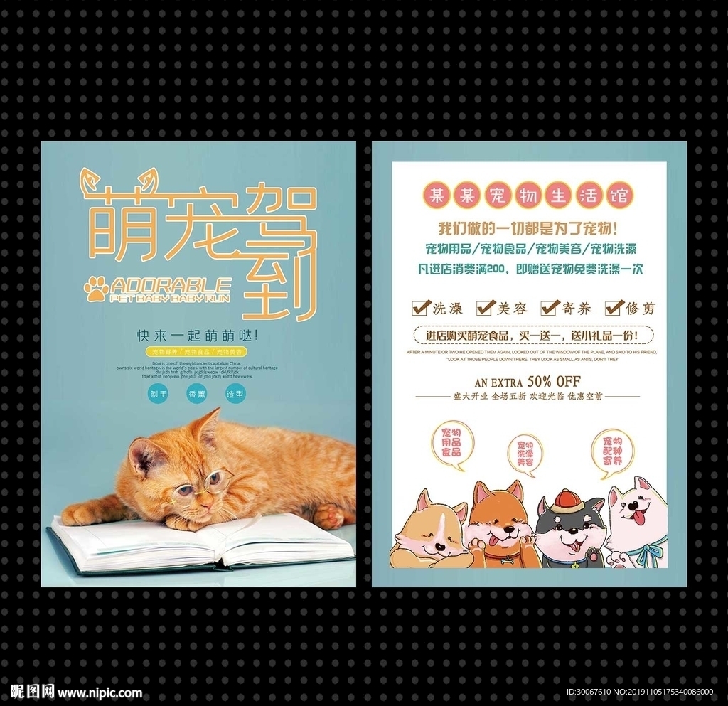 宠物美容宣传单