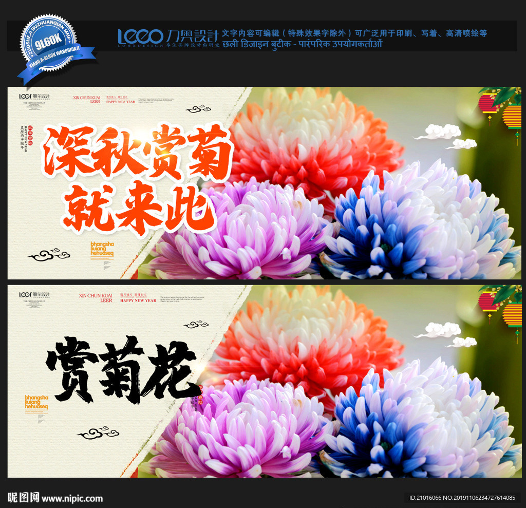 菊花
