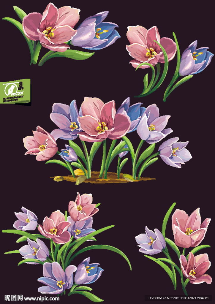 数码印花 大牌 佩斯利  复古