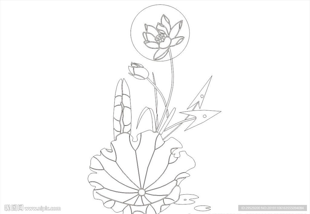 荷花图