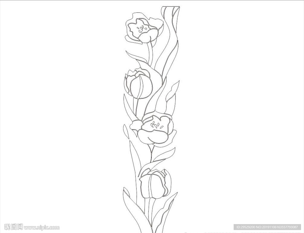 郁金香花图