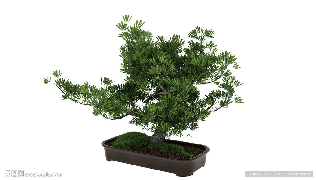 榕树盆栽3d模型