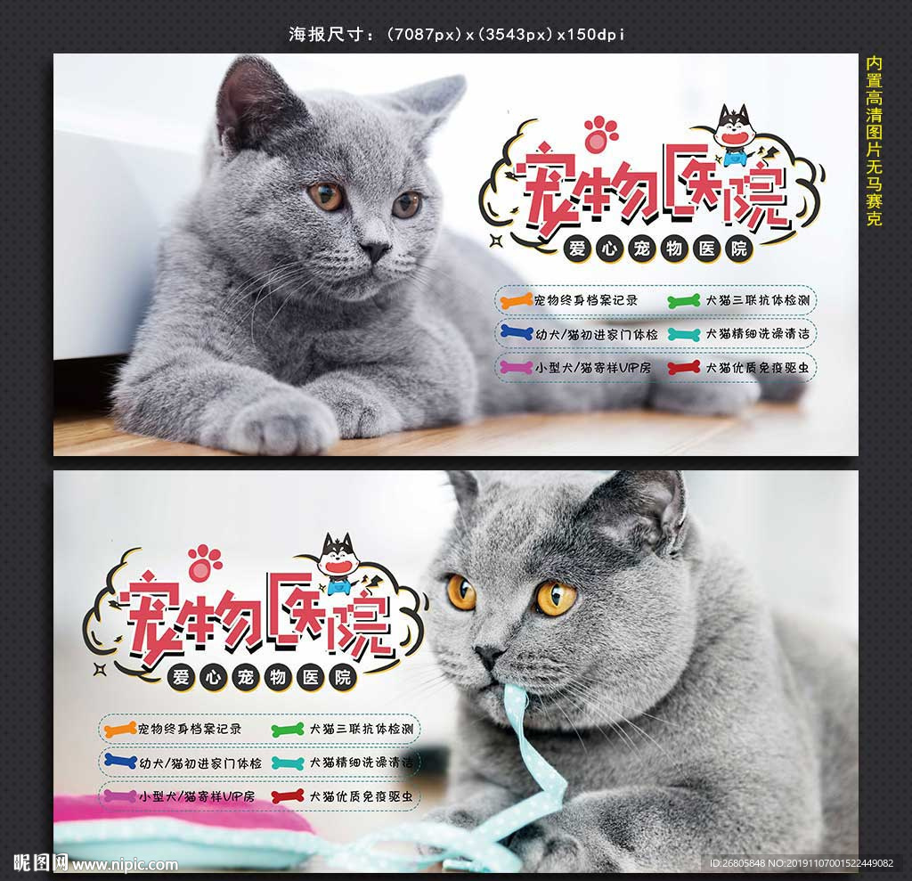 宠物