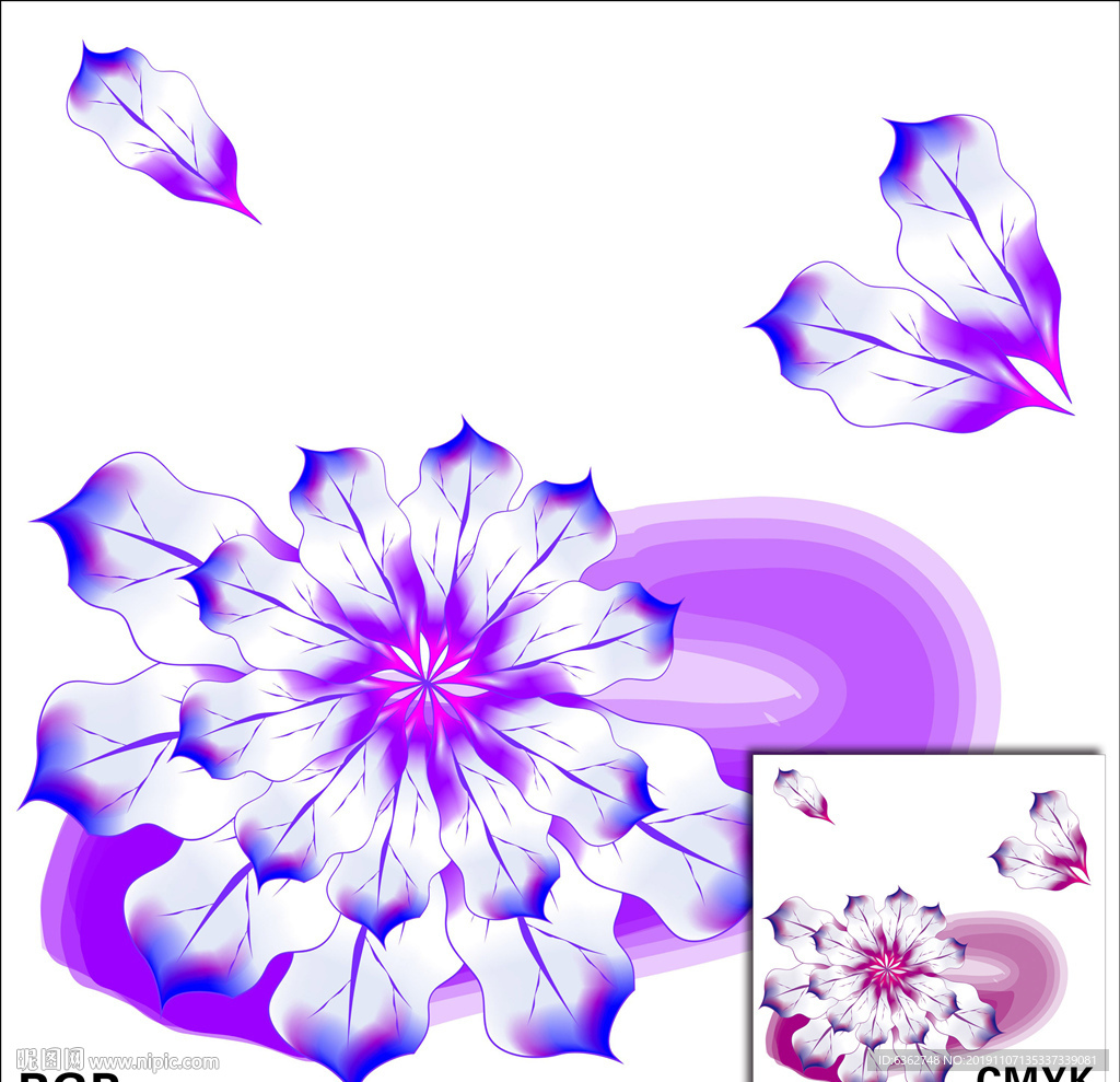 紫色花