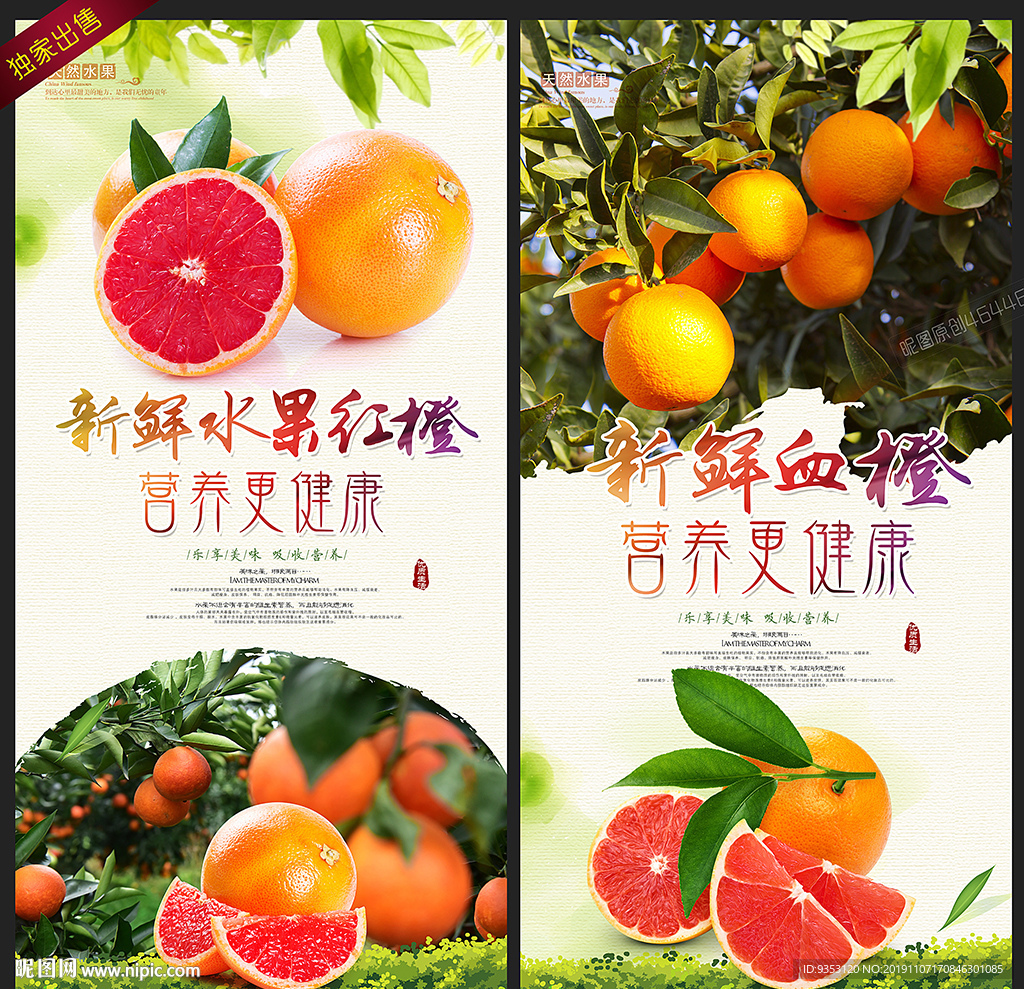 血橙