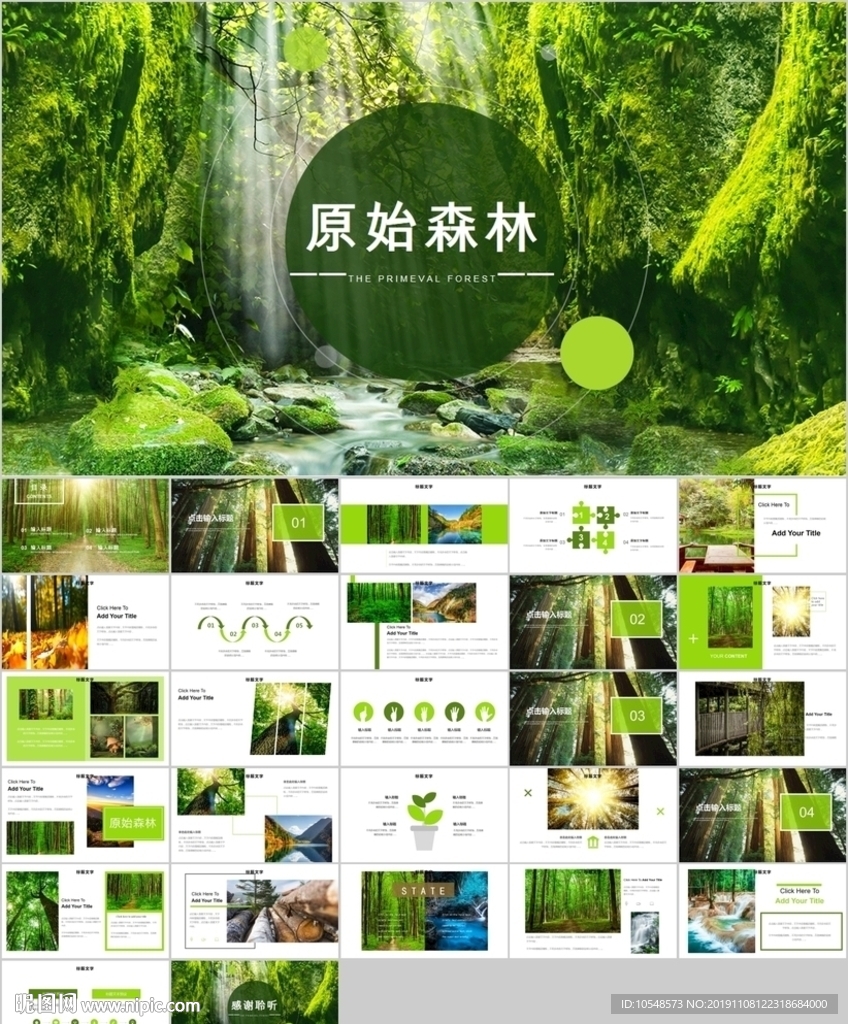 湿地环境保护生态森林ppt