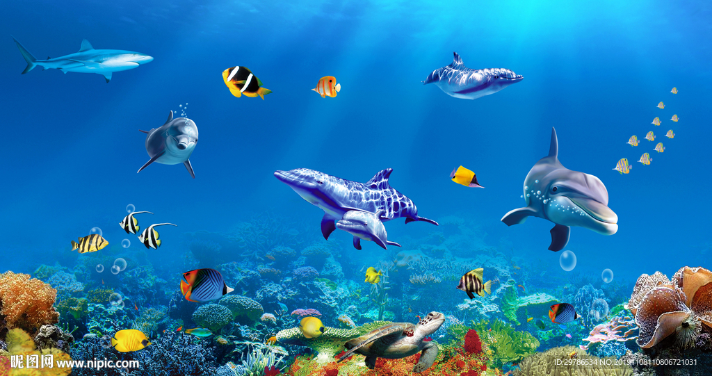 海洋世界