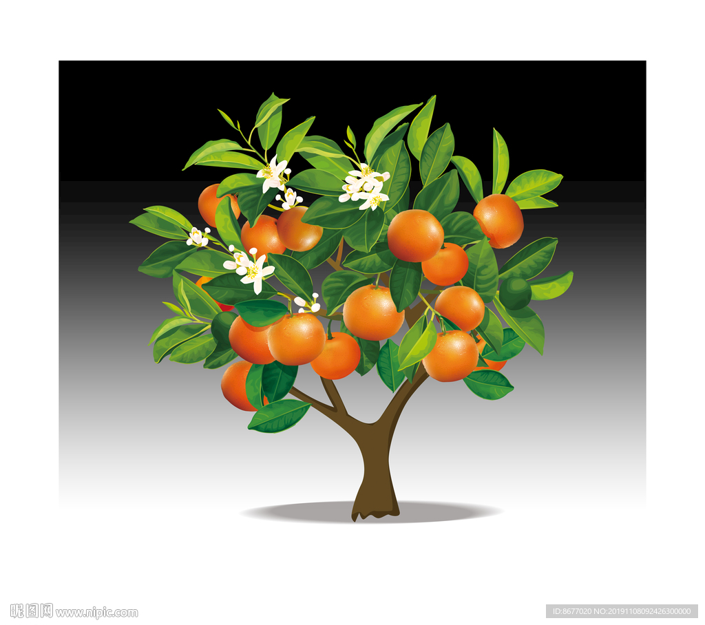 รูปYuzu Citrus PNG, ภาพYuzu CitrusPSD, ดาวน์โหลดฟรี | Pngtree