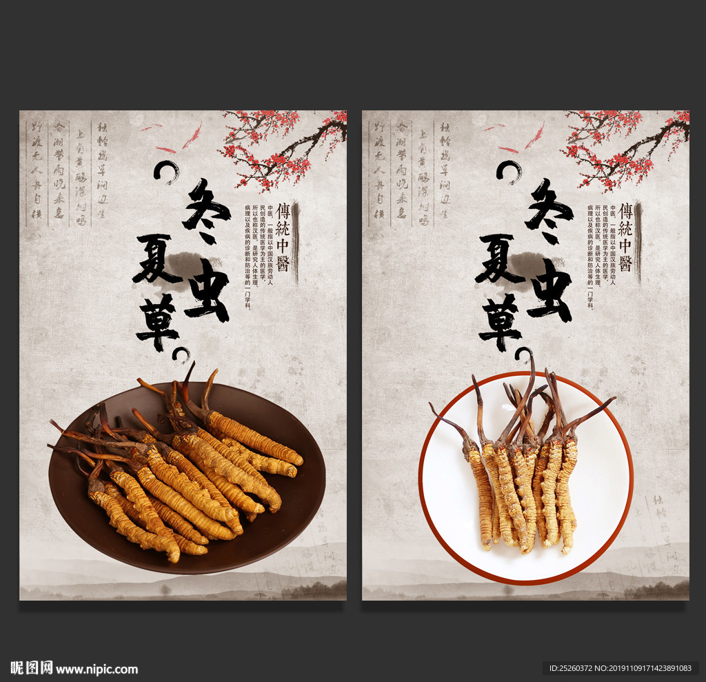 冬虫夏草