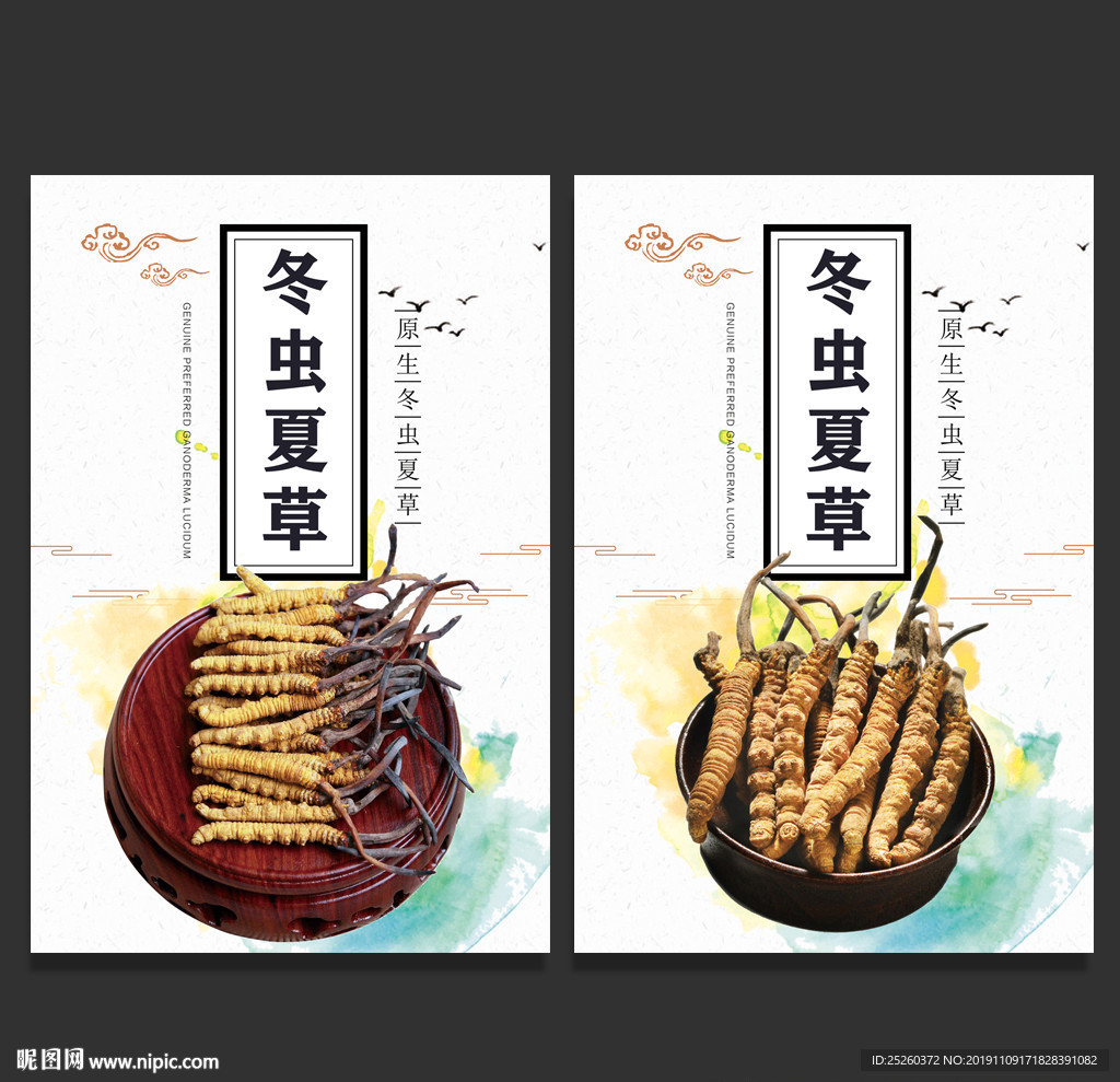 冬虫夏草