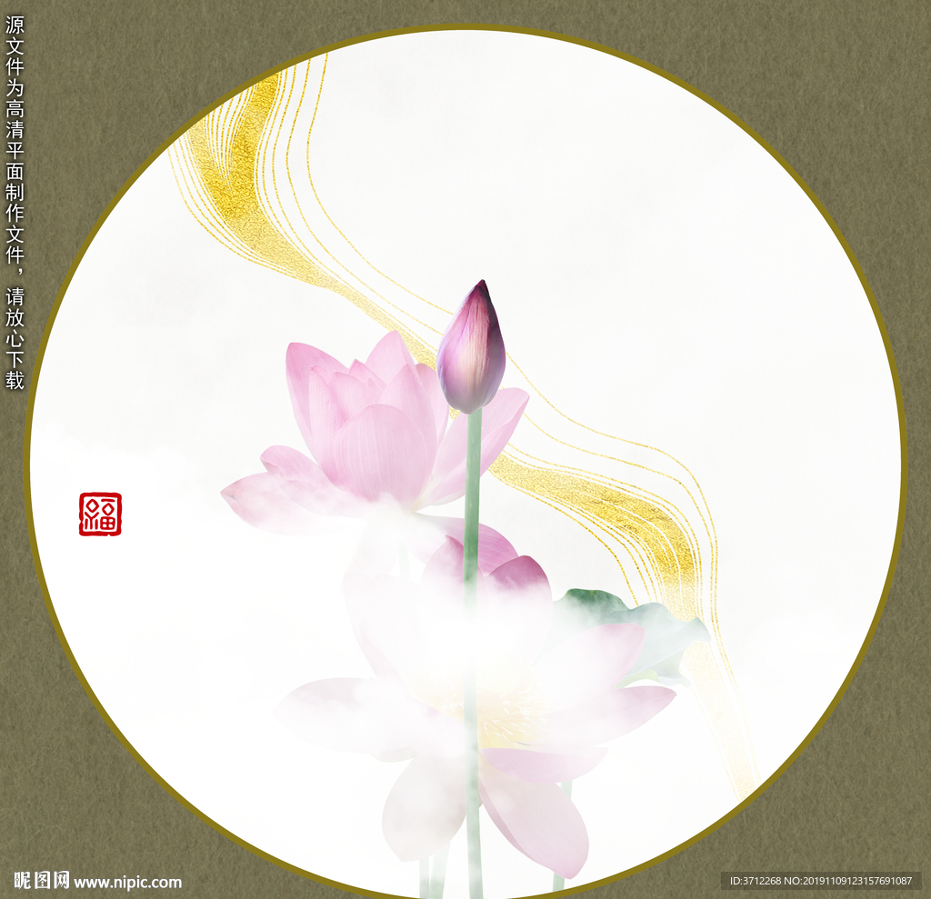 荷花摄影