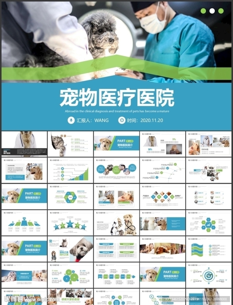 宠物医疗宠物医院PPT