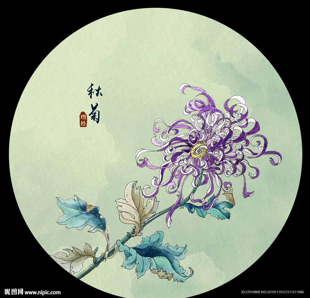 彩绘菊花