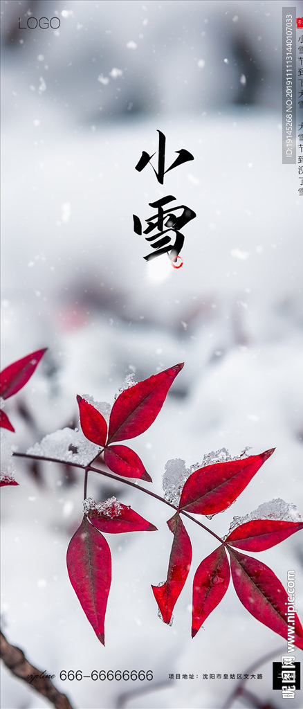小雪