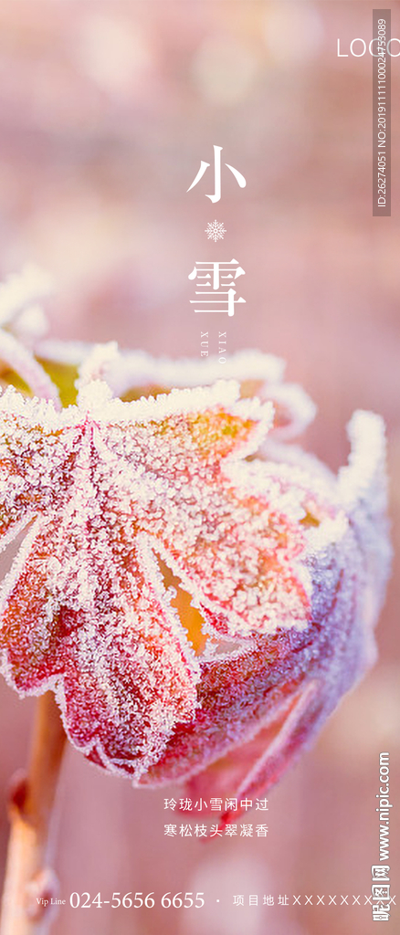 小雪 地产 节气