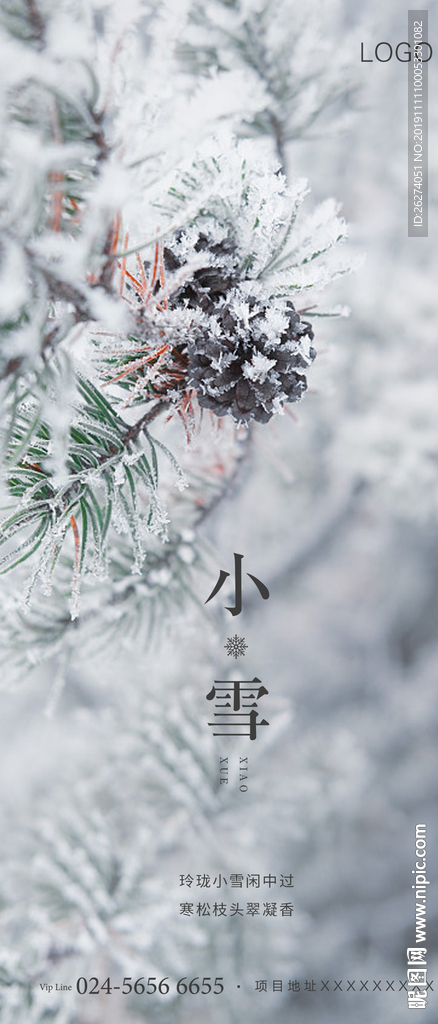小雪 地产 节气