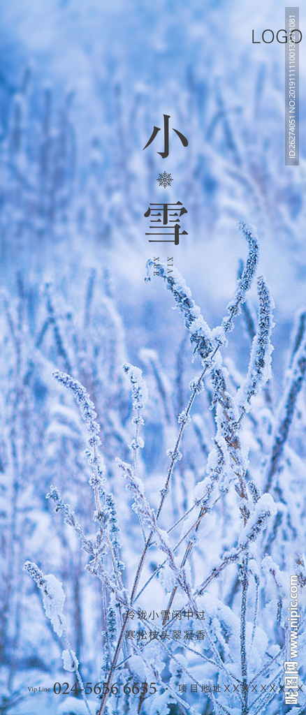 小雪 地产 节气