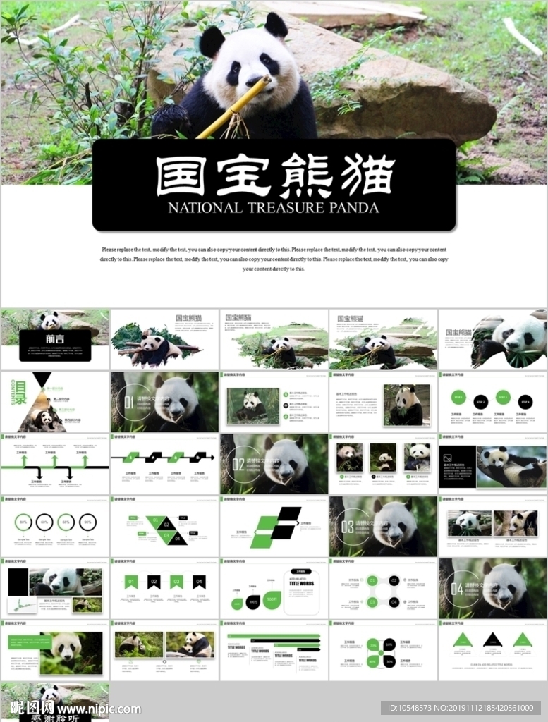 保护动物吃竹子国宝熊猫野生动物